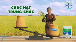 TVC NAVITO | CHẮC HẠT TRÚNG CHẮC