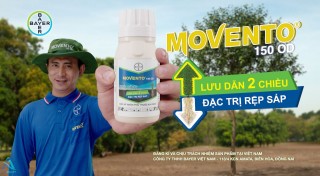 TVC MOVENTO | LƯU DẪN 2 CHIỀU - ĐẶC TRỊ RỆP SÁP