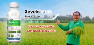 TGT XEVELO| DIỆT CỎ NHẸ CÔNG - LÀM NÔNG BỀN VỮNG | MC ĐÌNH TOÀN