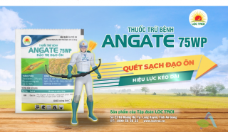 TVC_ANGATE