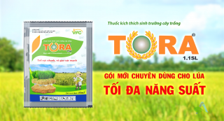 TVI TORA | TỐI ĐA NĂNG SUẤT