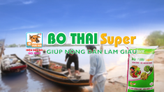 TVC Bo Thái Super