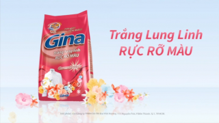 Bột giặt Gina